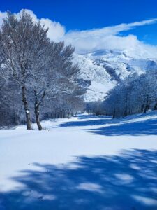 Si riparte il 29.03.2026