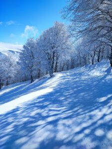 Si riparte il 29.03.2026